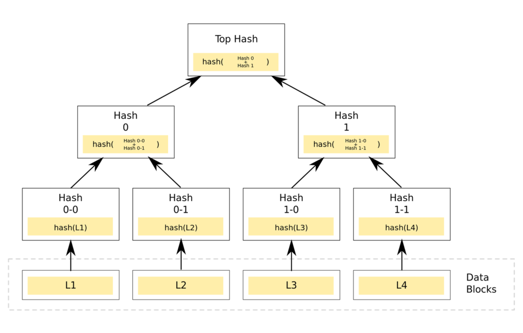 Merkle Tree sample on the Bitcoin Blockchain